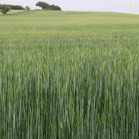 Du Nord Bed & Breakfast *